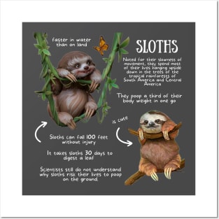 Animal Facts - Sloth Posters and Art